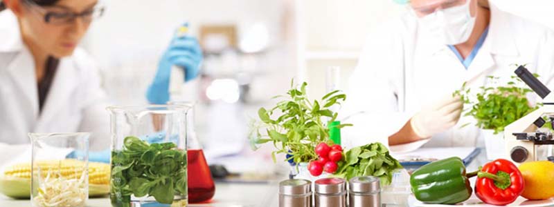 Для чего нужен протокол испытаний продукции. Смотреть фото Для чего нужен протокол испытаний продукции. Смотреть картинку Для чего нужен протокол испытаний продукции. Картинка про Для чего нужен протокол испытаний продукции. Фото Для чего нужен протокол испытаний продукции