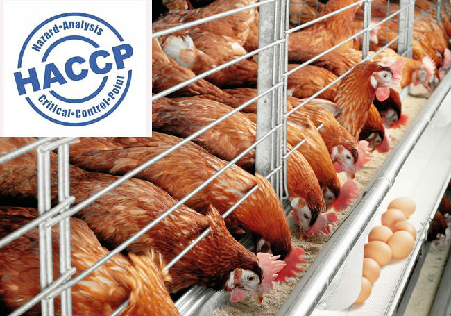 haccp_мясное_птицеводство